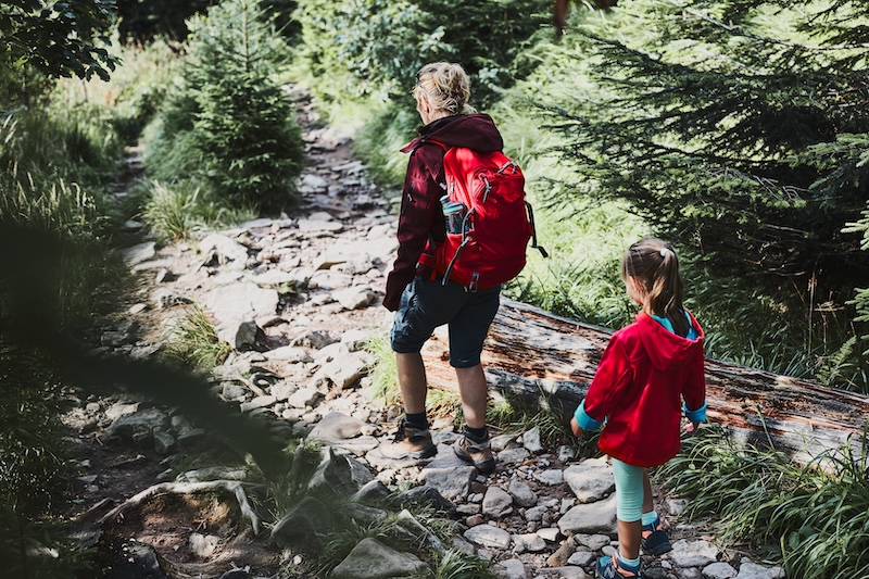 Familj ute på vandring i skogen
